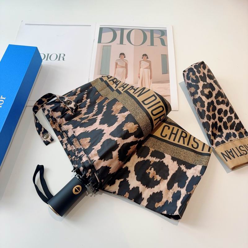 Dior Umbrella (127)