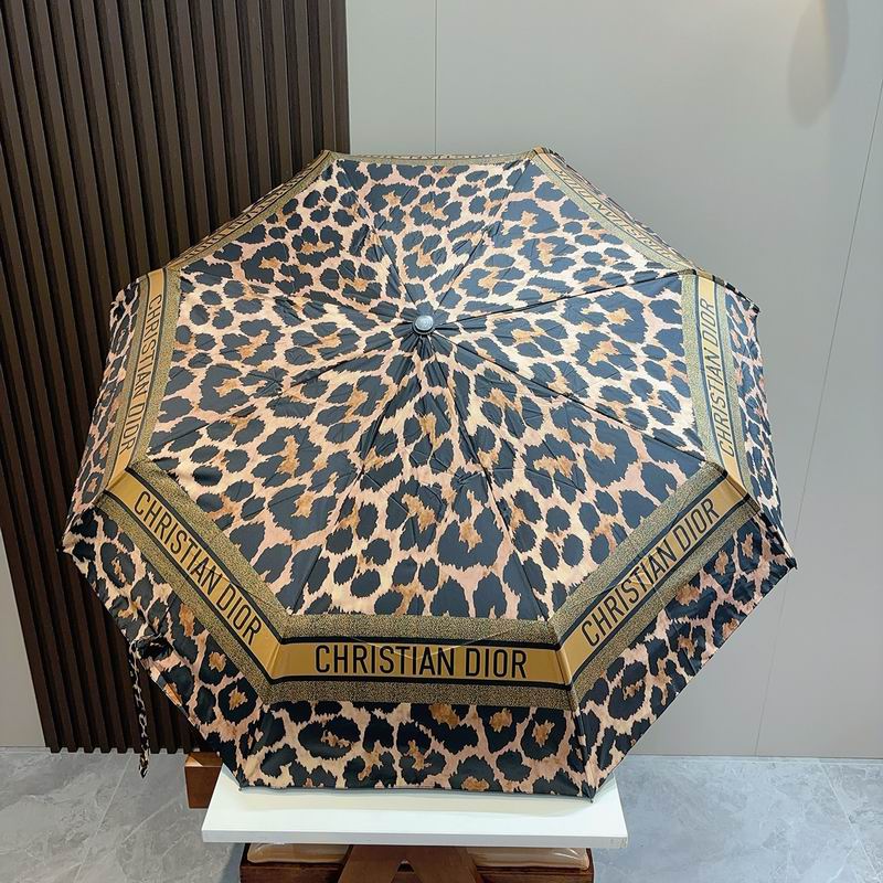 Dior Umbrella (128)