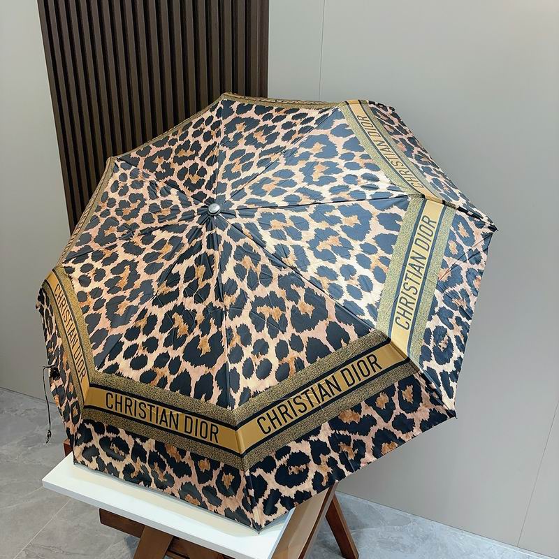 Dior Umbrella (129)