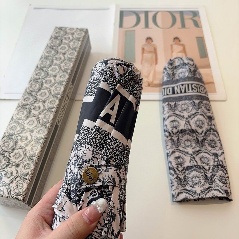 Dior Umbrella (13)