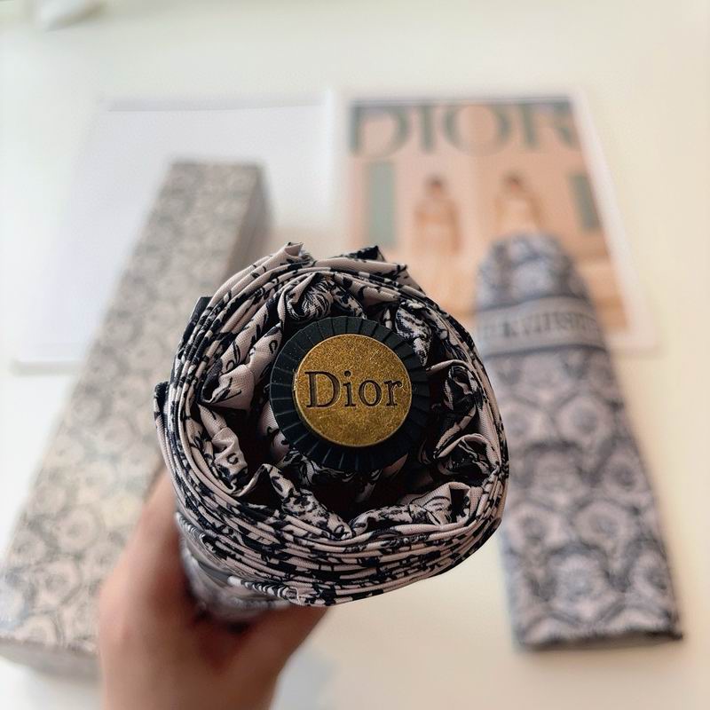 Dior Umbrella (14)