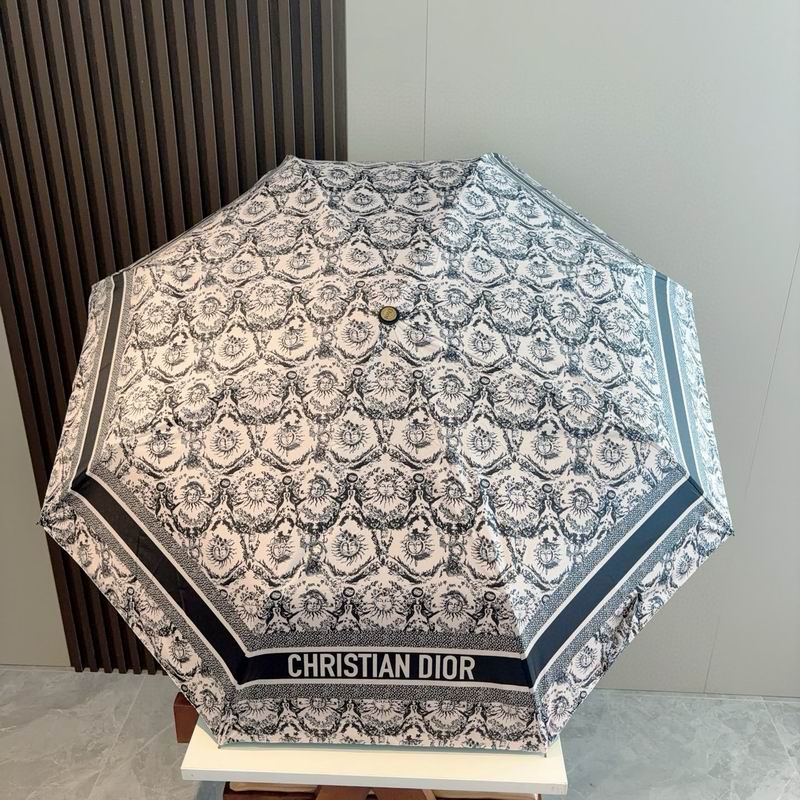 Dior Umbrella (17)