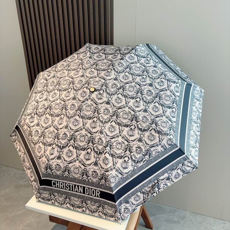 Dior Umbrella (18)