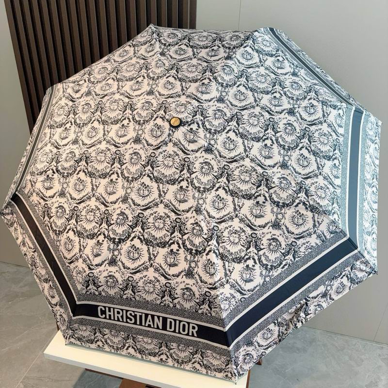 Dior Umbrella (19)