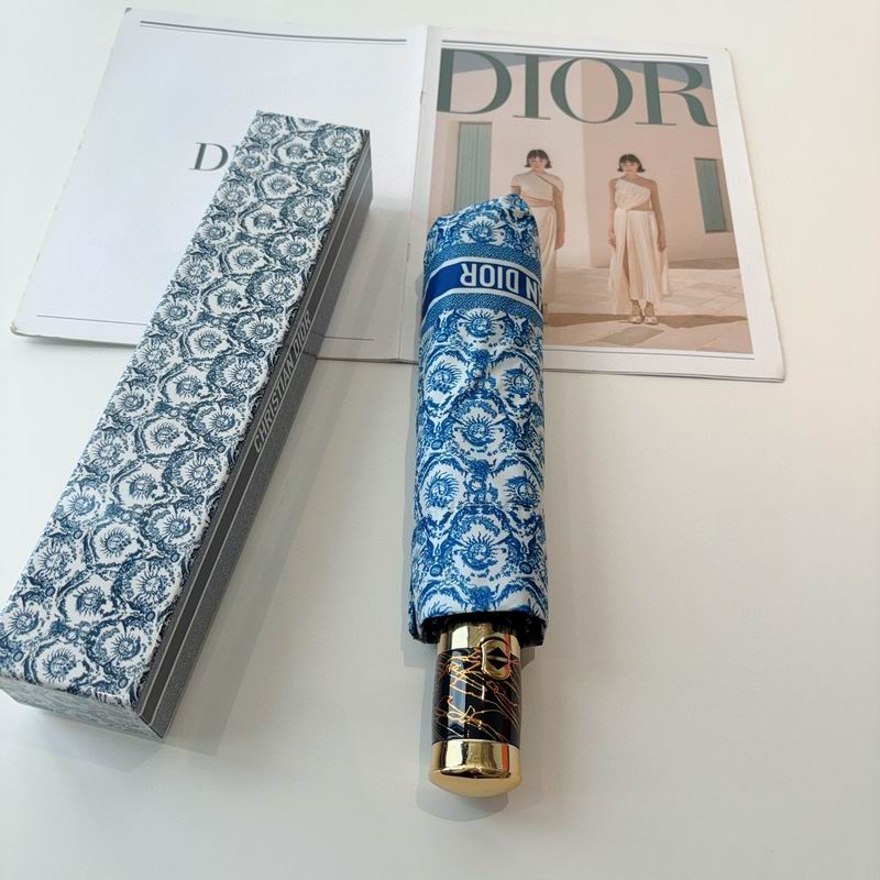 Dior Umbrella (20)