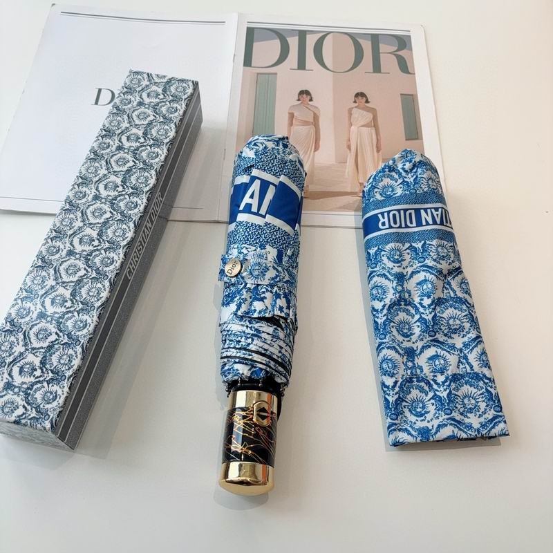 Dior Umbrella (21)