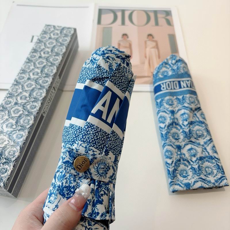 Dior Umbrella (22)