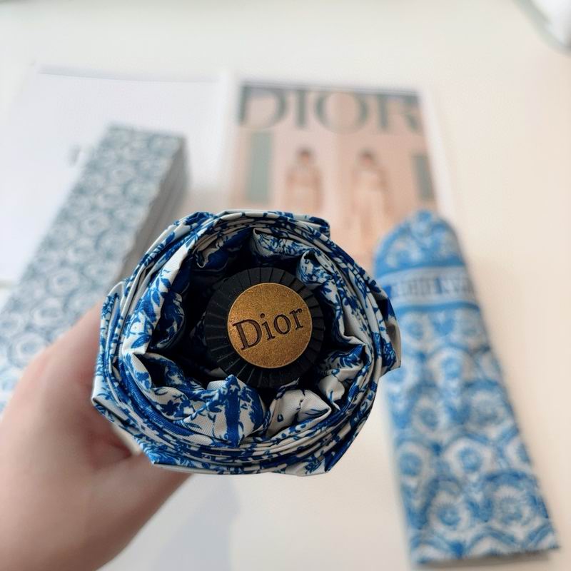 Dior Umbrella (23)