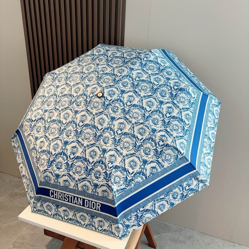 Dior Umbrella (27)