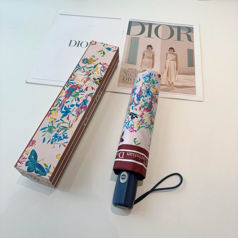 Dior Umbrella (29)