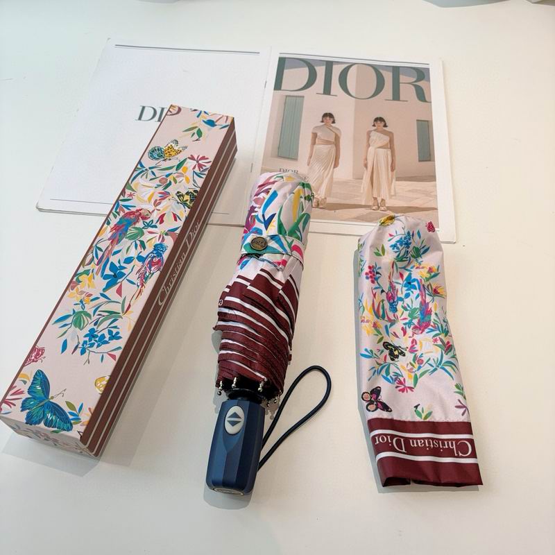 Dior Umbrella (30)