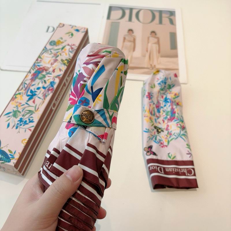 Dior Umbrella (31)
