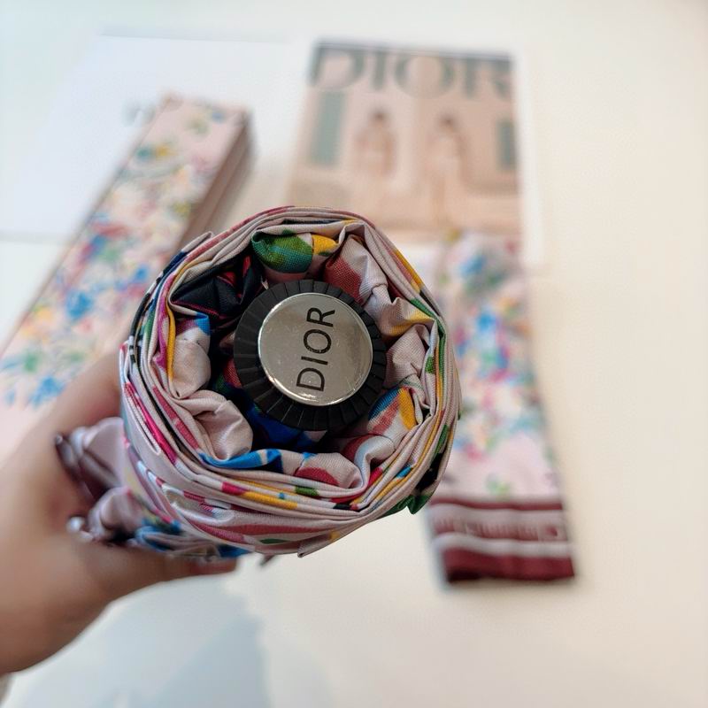Dior Umbrella (32)