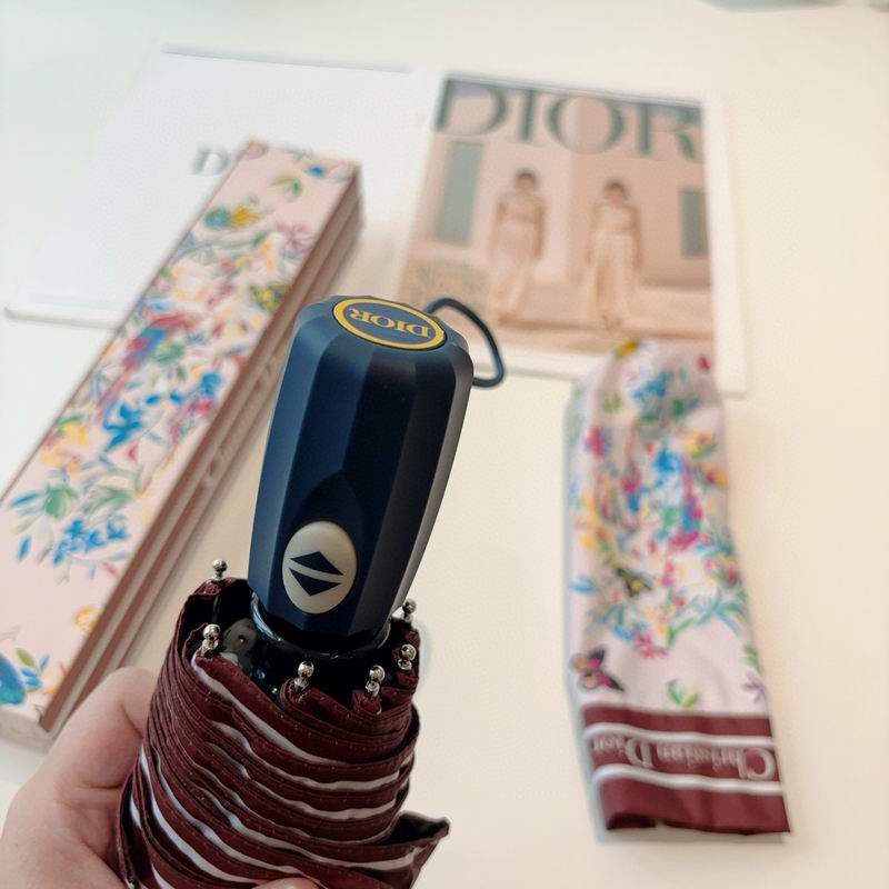 Dior Umbrella (33)