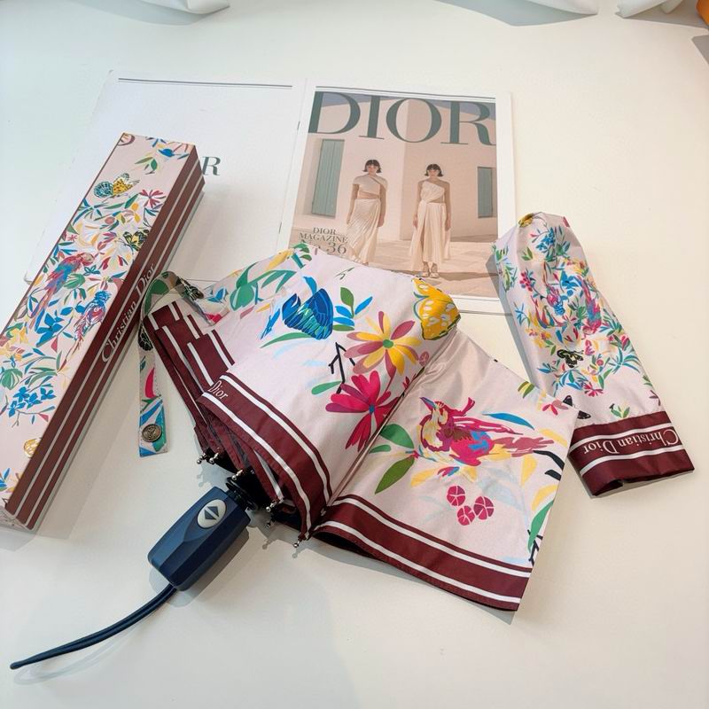 Dior Umbrella (34)