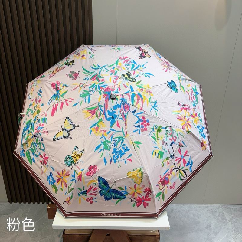 Dior Umbrella (35)