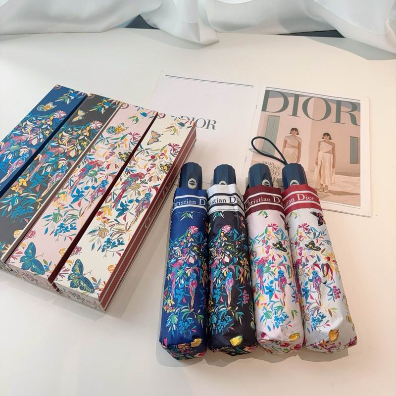 Dior Umbrella (38)