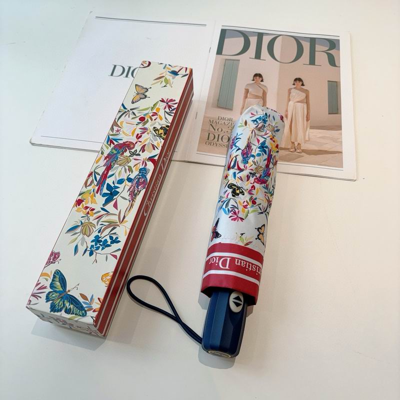 Dior Umbrella (39)