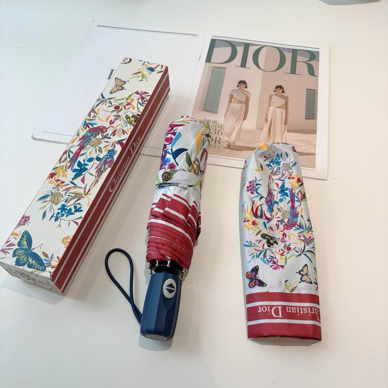 Dior Umbrella (40)
