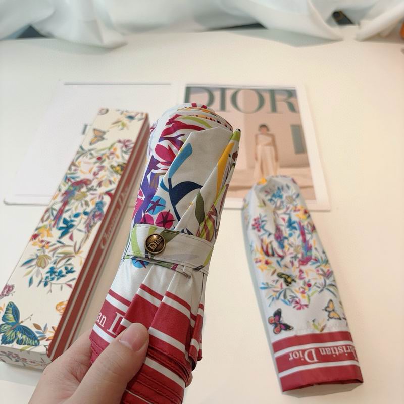 Dior Umbrella (41)