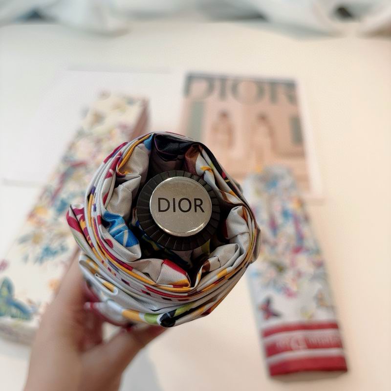Dior Umbrella (42)