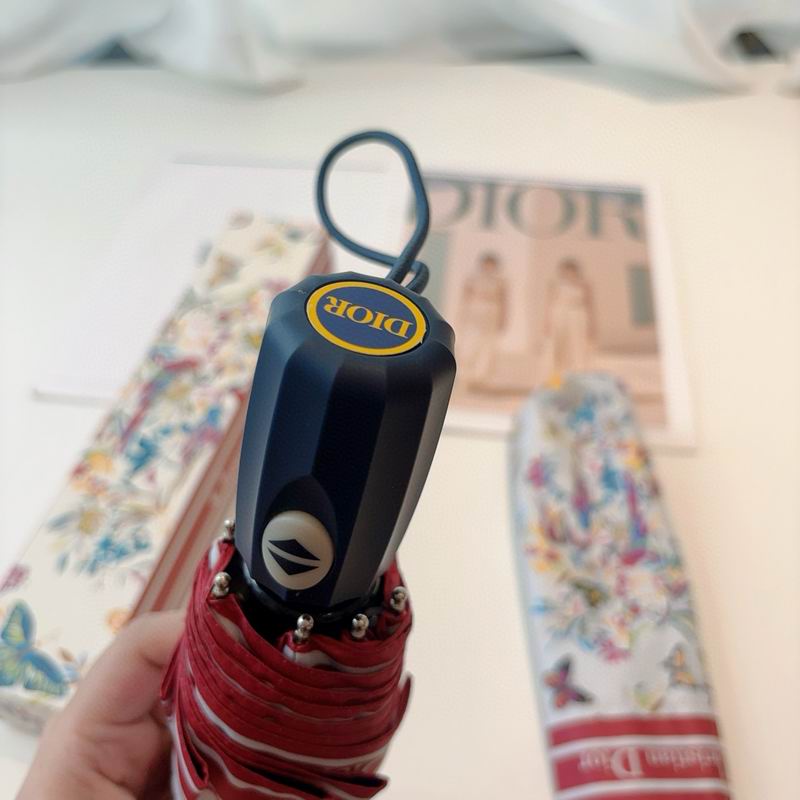 Dior Umbrella (43)