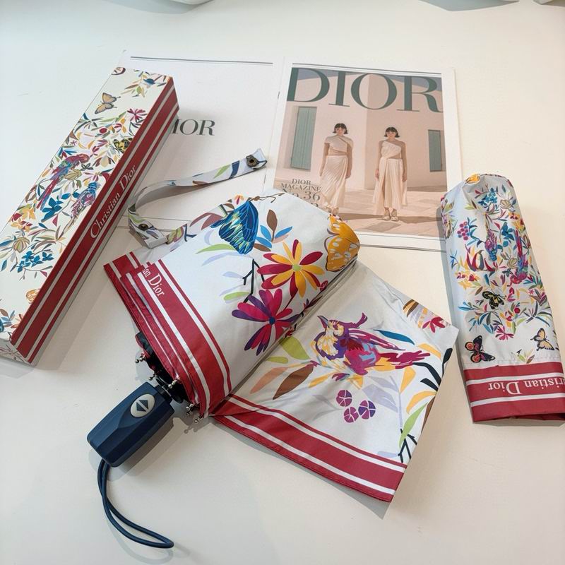 Dior Umbrella (44)