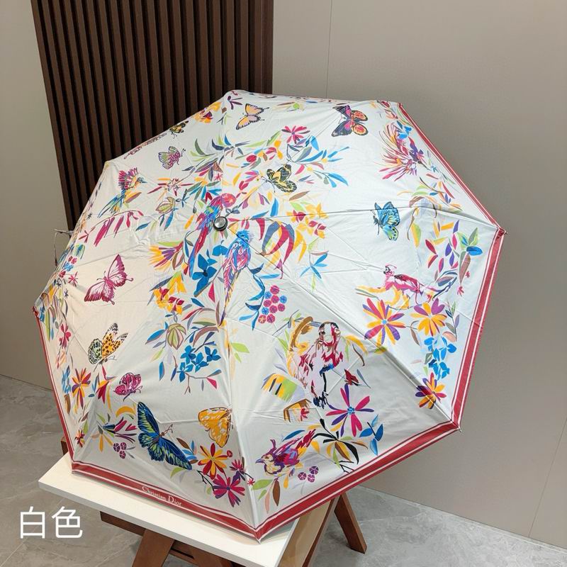 Dior Umbrella (46)