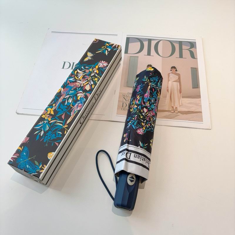 Dior Umbrella (48)