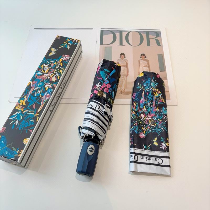 Dior Umbrella (49)
