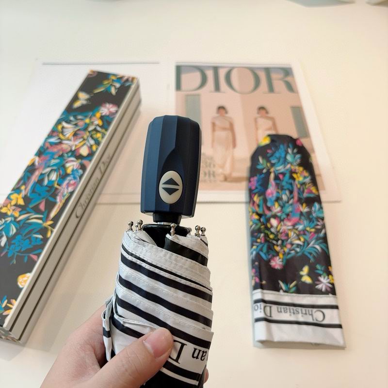 Dior Umbrella (52)