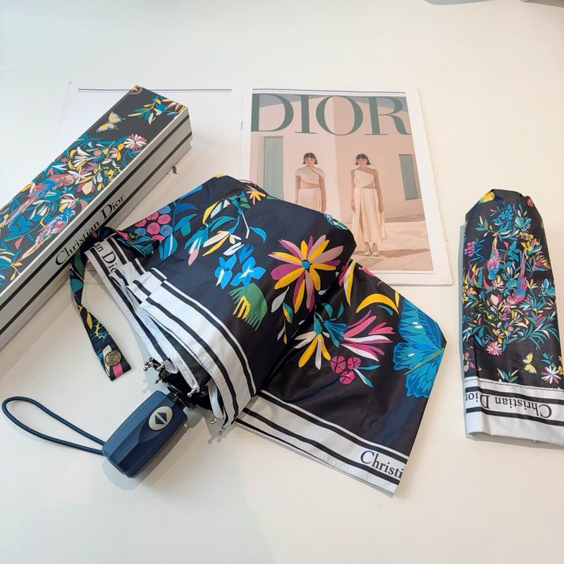 Dior Umbrella (53)