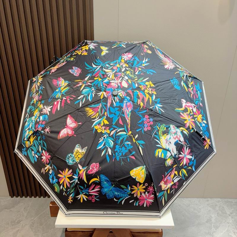 Dior Umbrella (54)