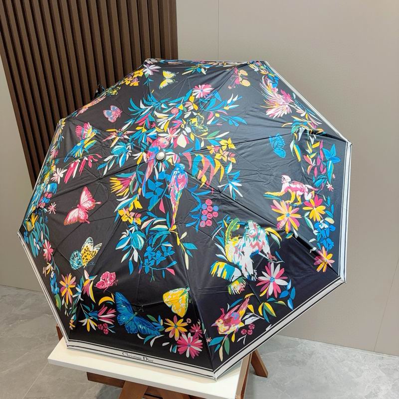 Dior Umbrella (55)