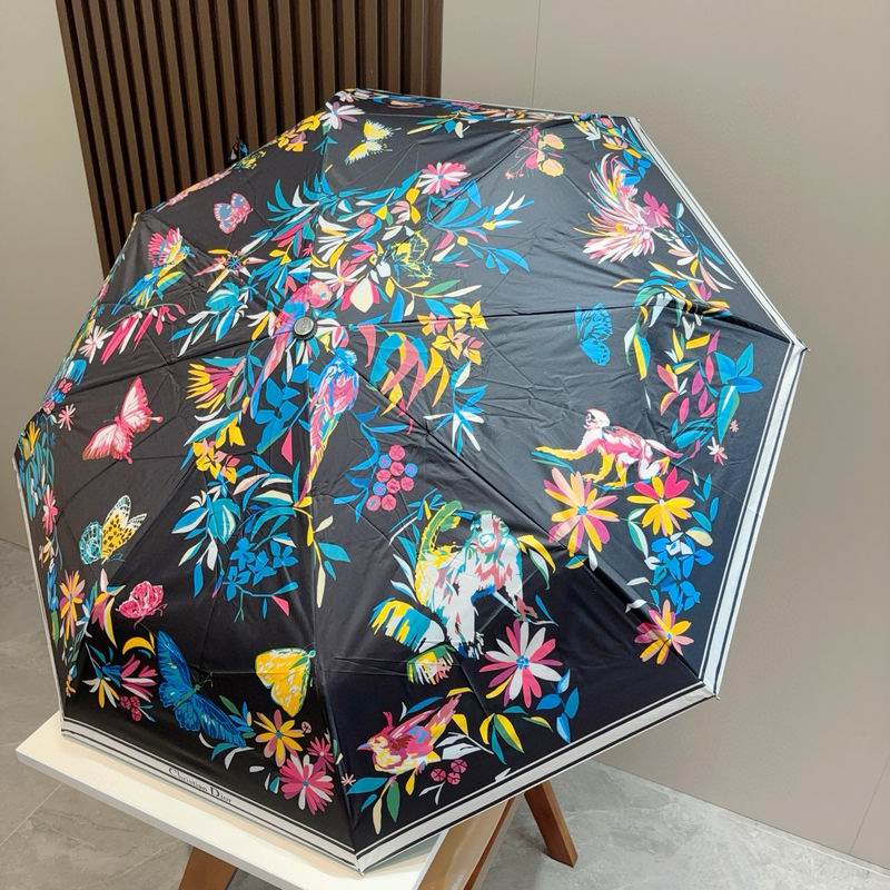 Dior Umbrella (56)