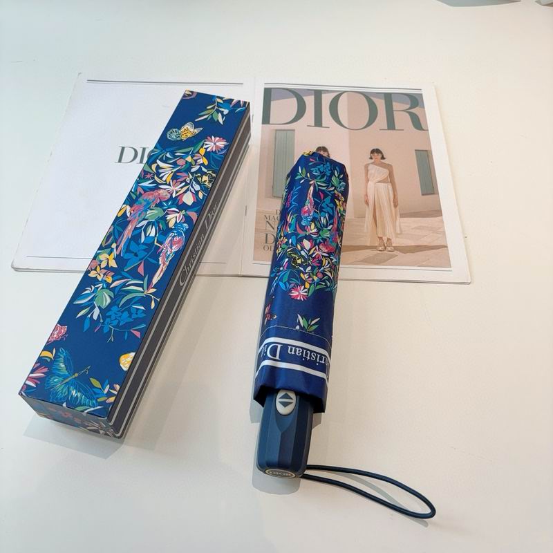 Dior Umbrella (57)