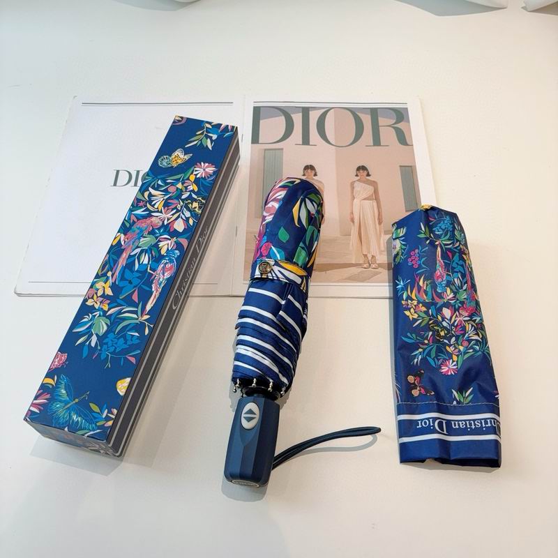 Dior Umbrella (58)