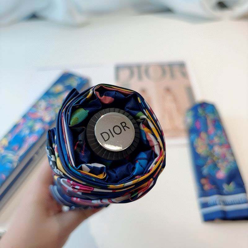 Dior Umbrella (60)