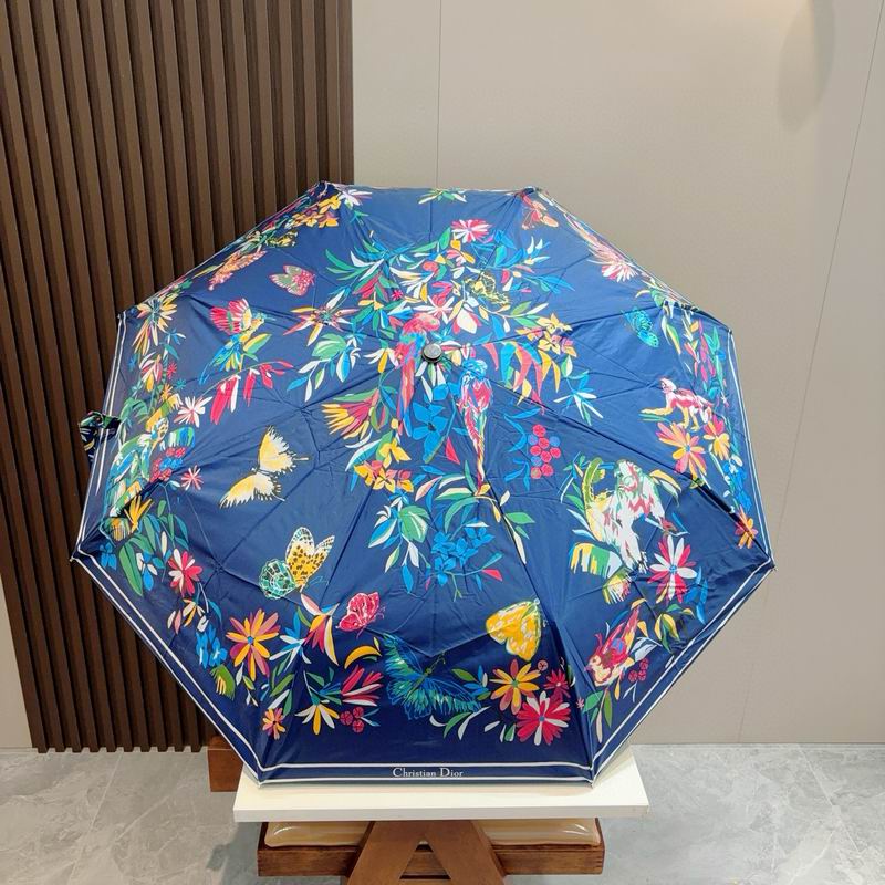 Dior Umbrella (63)