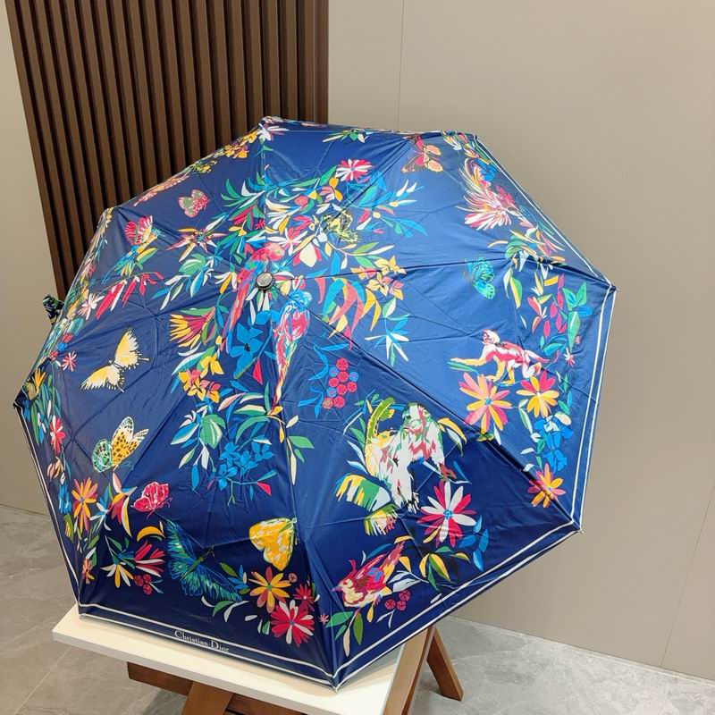 Dior Umbrella (64)