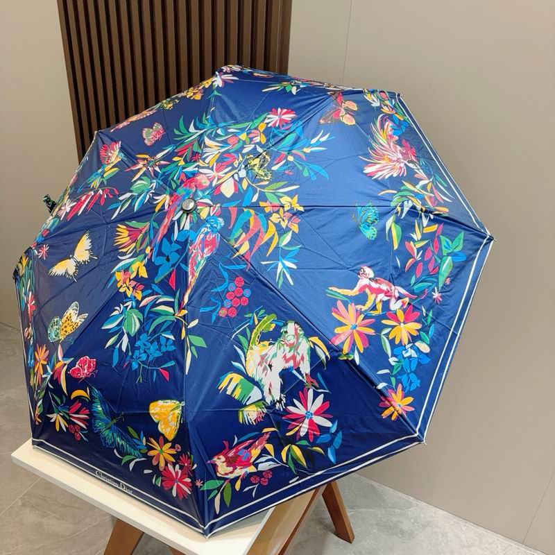 Dior Umbrella (65)