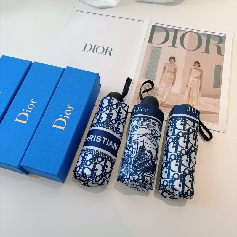 Dior Umbrella (66)