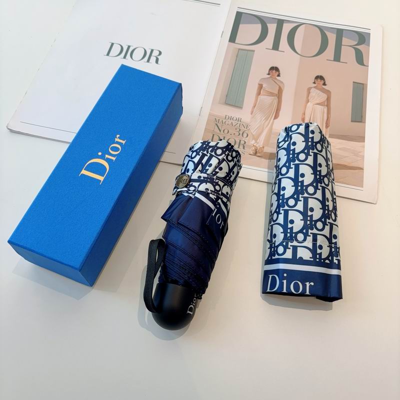 Dior Umbrella (68)