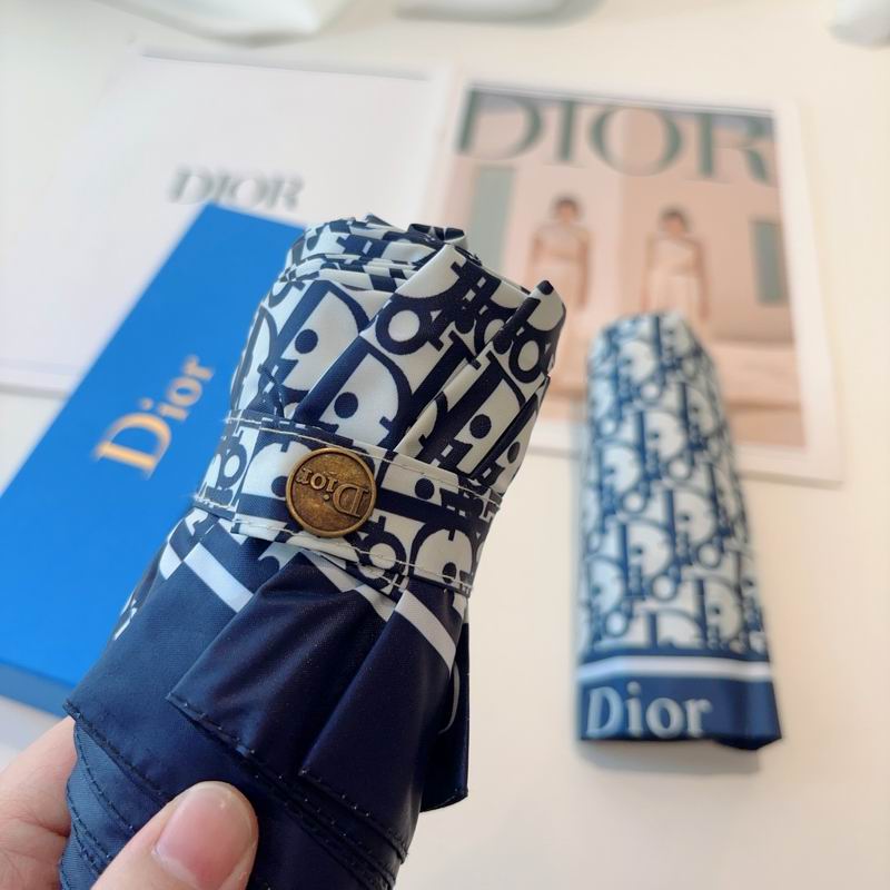 Dior Umbrella (69)