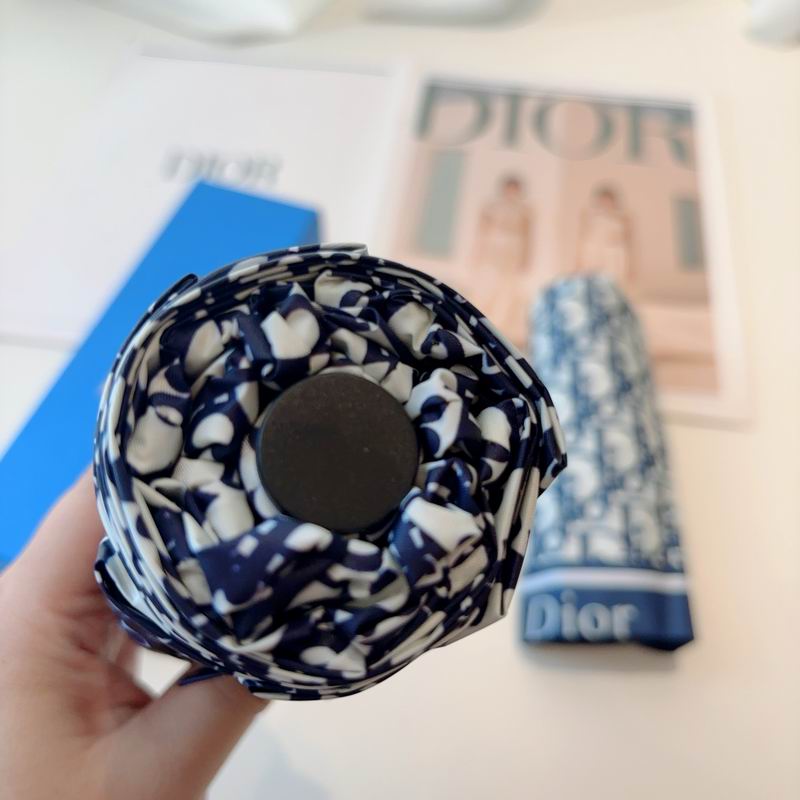 Dior Umbrella (70)