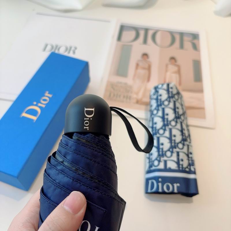 Dior Umbrella (71)