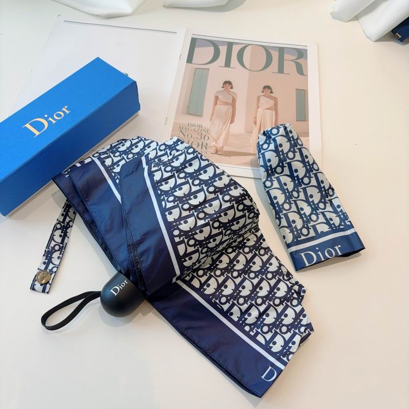 Dior Umbrella (72)