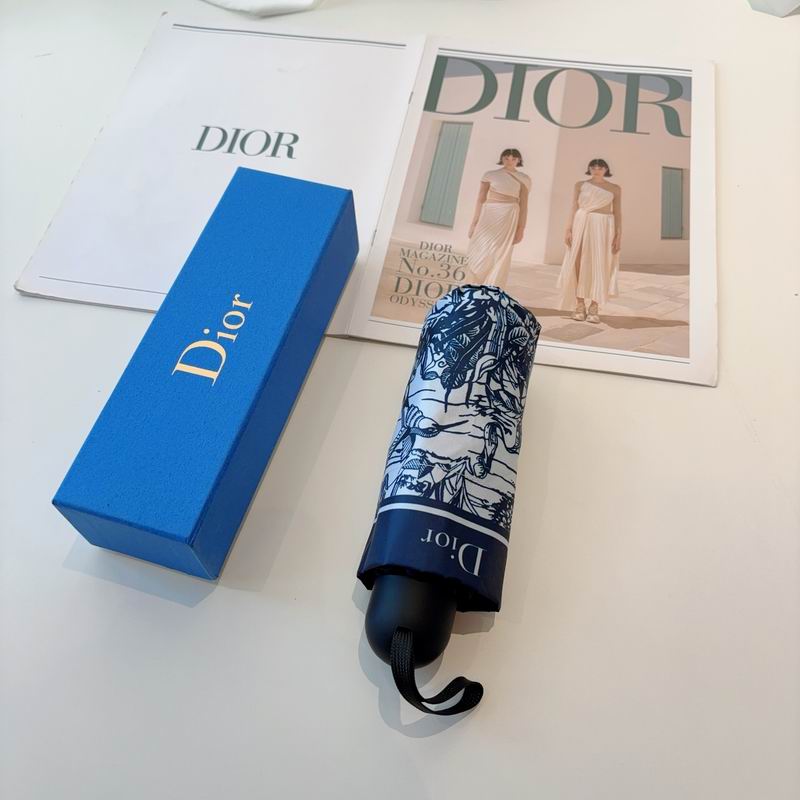 Dior Umbrella (76)