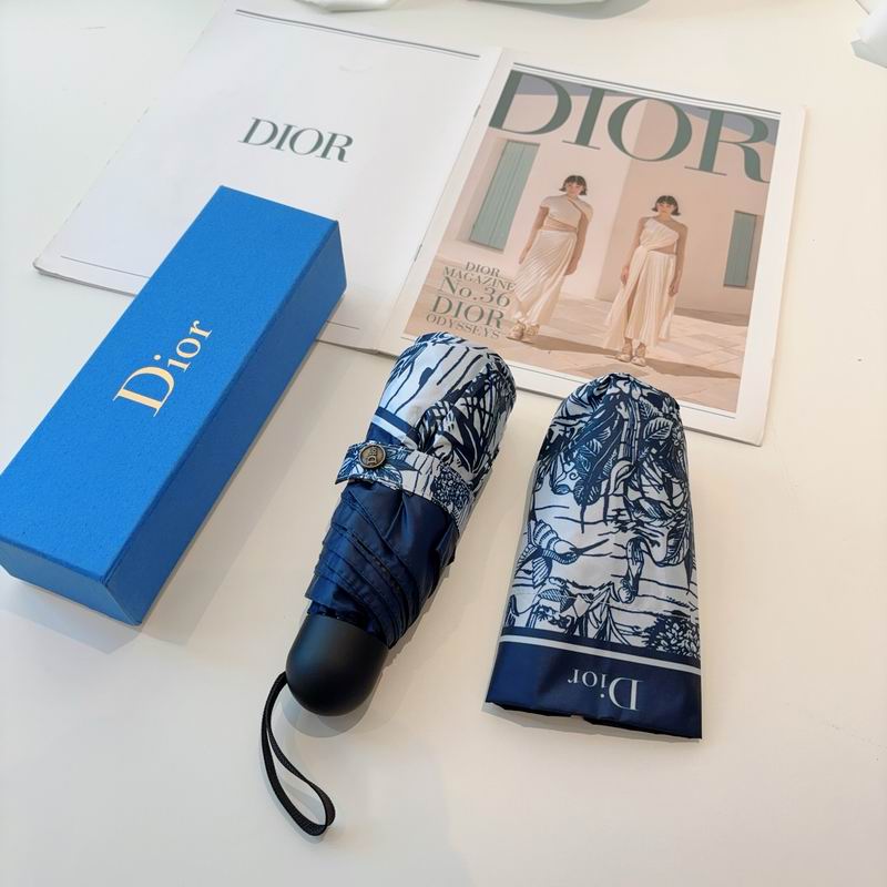 Dior Umbrella (77)