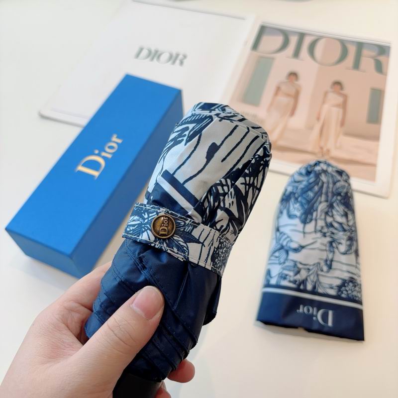 Dior Umbrella (78)